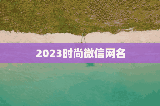 2023时尚微信网名